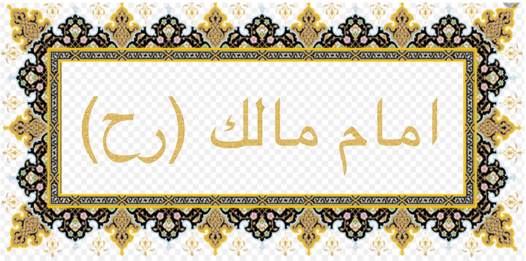 امام مالك (رح)